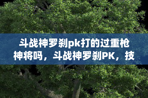 斗战神罗刹pk打的过重枪神将吗，斗战神罗刹PK，技艺与策略的较量