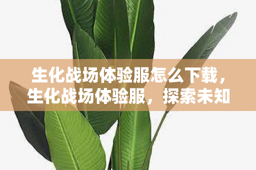 生化战场体验服怎么下载,生化战场体验服,探索未知,挑战极限 生化战场体验服怎么下载,生化战场体验服,探索未知,挑战极限