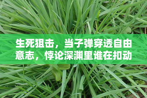 生死狙击,当子弹穿透自由意志,悖论深渊里谁在扣动扳机? 生死狙击,当子弹穿透自由意志,悖论深渊里谁在扣动扳机?