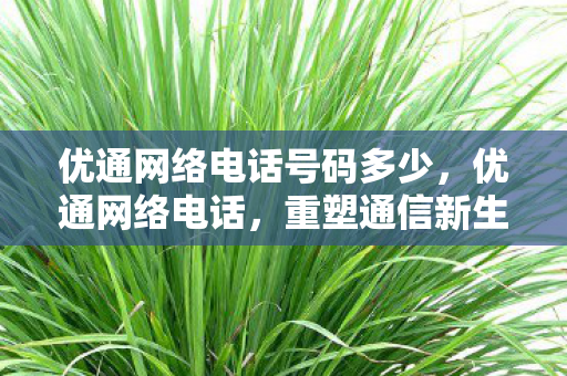 优通网络电话号码多少,优通网络电话,重塑通信新生态的先锋 优通网络电话号码多少,优通网络电话,重塑通信新生态的先锋