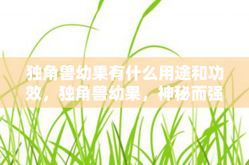 独角兽幼果有什么用途和功效，独角兽幼果，神秘而强大的自然宝藏