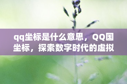 qq坐标是什么意思,QQ国坐标,探索数字时代的虚拟疆域 qq坐标是什么意思,QQ国坐标,探索数字时代的虚拟疆域