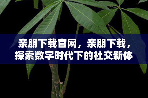 亲朋下载官网,亲朋下载,探索数字时代下的社交新体验 亲朋下载官网,亲朋下载,探索数字时代下的社交新体验