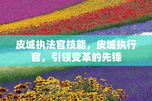 皮城执法官技能,皮城执行官,引领变革的先锋 皮城执法官技能,皮城执行官,引领变革的先锋