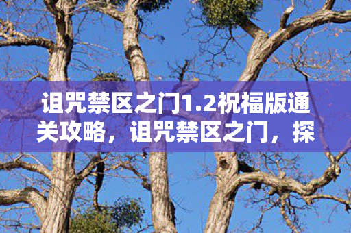 诅咒禁区之门1.2祝福版通关攻略，诅咒禁区之门，探索神秘之门背后的故事