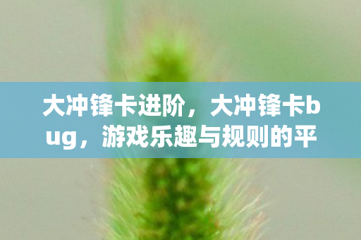 大冲锋卡进阶，大冲锋卡bug，游戏乐趣与规则的平衡