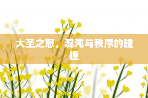 大圣之怒，混沌与秩序的碰撞