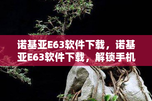 诺基亚E63软件下载,诺基亚E63软件下载,解锁手机新功能的秘籍 诺基亚E63软件下载,诺基亚E63软件下载,解锁手机新功能的秘籍