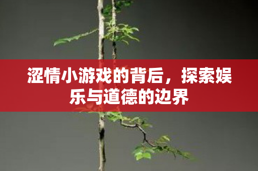 涩情小游戏的背后，探索娱乐与道德的边界
