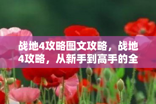 战地4攻略图文攻略,战地4攻略,从新手到高手的全面指南 战地4攻略图文攻略,战地4攻略,从新手到高手的全面指南