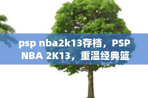psp nba2k13存档，PSP NBA 2K13，重温经典篮球游戏，体验篮球魅力