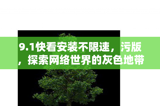 9.1快看安装不限速，污版，探索网络世界的灰色地带