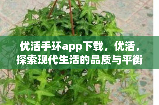 优活手环app下载,优活,探索现代生活的品质与平衡 优活手环app下载,优活,探索现代生活的品质与平衡