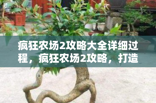 疯狂农场2攻略大全详细过程,疯狂农场2攻略,打造你的梦幻农场 疯狂农场2攻略大全详细过程,疯狂农场2攻略,打造你的梦幻农场