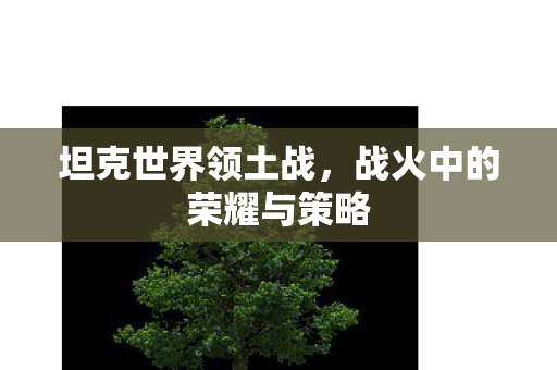 坦克世界领土战,战火中的荣耀与策略 坦克世界领土战,战火中的荣耀与策略