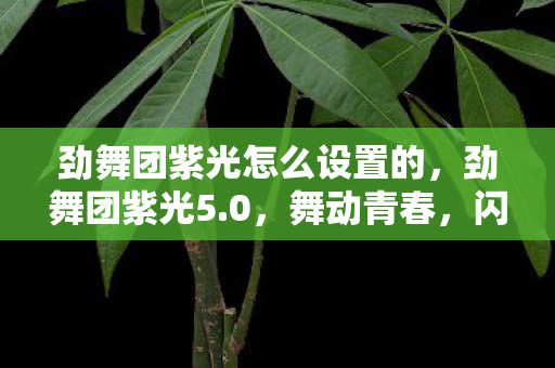 劲舞团紫光怎么设置的,劲舞团紫光5.0,舞动青春,闪耀舞台 劲舞团紫光怎么设置的,劲舞团紫光5.0,舞动青春,闪耀舞台