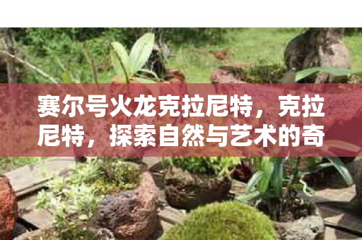 赛尔号火龙克拉尼特,克拉尼特,探索自然与艺术的奇妙融合 赛尔号火龙克拉尼特,克拉尼特,探索自然与艺术的奇妙融合