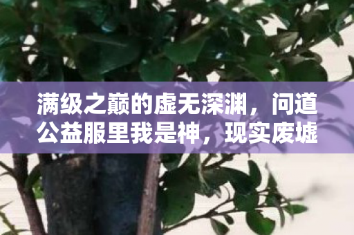 满级之巅的虚无深渊，问道公益服里我是神，现实废墟中我如蝼蚁