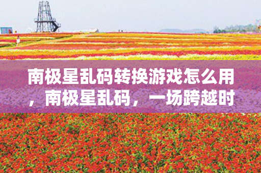 南极星乱码转换游戏怎么用，南极星乱码，一场跨越时空的编码之旅