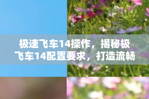 极速飞车14操作，揭秘极飞车14配置要求，打造流畅游戏体验