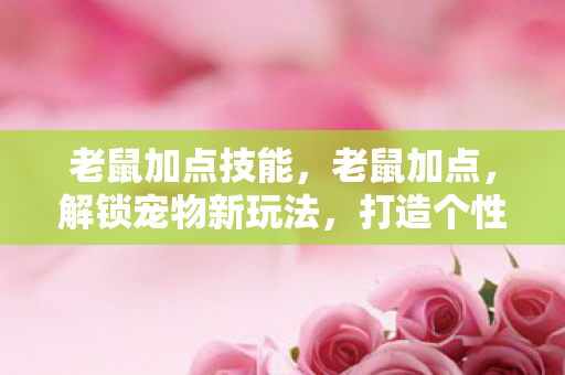 老鼠加点技能,老鼠加点,解锁宠物新玩法,打造个性化小宠 老鼠加点技能,老鼠加点,解锁宠物新玩法,打造个性化小宠