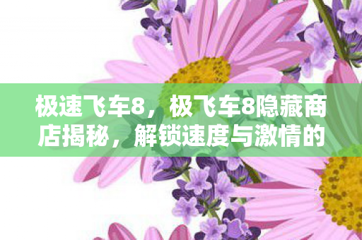 极速飞车8，极飞车8隐藏商店揭秘，解锁速度与激情的隐藏宝藏