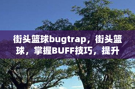 街头篮球bugtrap，街头篮球，掌握BUFF技巧，提升你的游戏水平