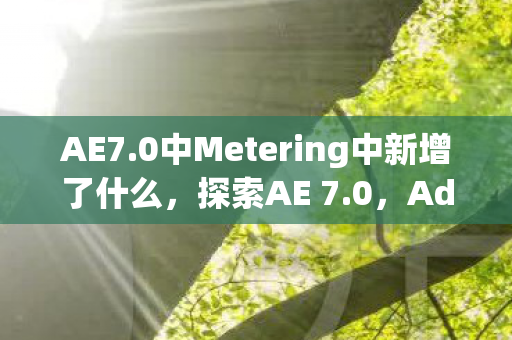 AE7.0中Metering中新增了什么，探索AE 7.0，Adobe After Effects的全新里程碑