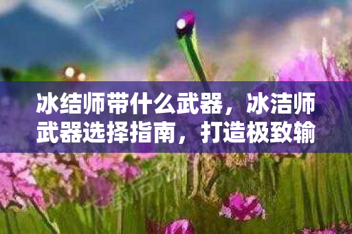 冰结师带什么武器,冰洁师武器选择指南,打造极致输出与生存能力 冰结师带什么武器,冰洁师武器选择指南,打造极致输出与生存能力