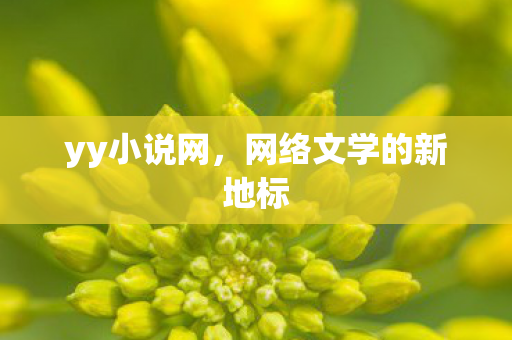yy小说网，网络文学的新地标