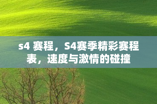 s4 赛程，S4赛季精彩赛程表，速度与激情的碰撞