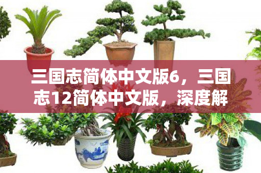 三国志简体中文版6，三国志12简体中文版，深度解析与战略探讨