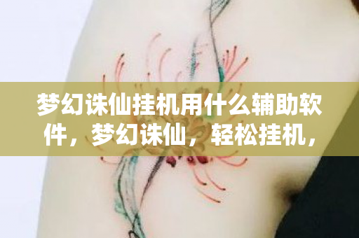 梦幻诛仙挂机用什么辅助软件,梦幻诛仙,轻松挂机,畅享游戏乐趣 梦幻诛仙挂机用什么辅助软件,梦幻诛仙,轻松挂机,畅享游戏乐趣