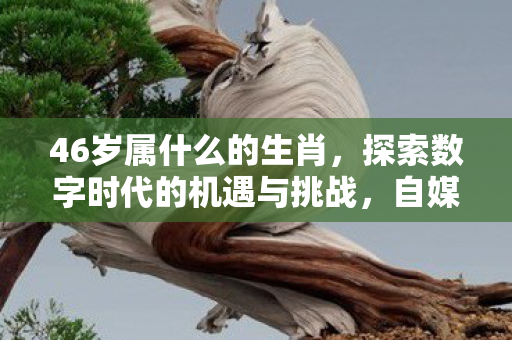 46岁属什么的生肖,探索数字时代的机遇与挑战,自媒体行业的崛起与未来展望 46岁属什么的生肖,探索数字时代的机遇与挑战,自媒体行业的崛起与未来展望
