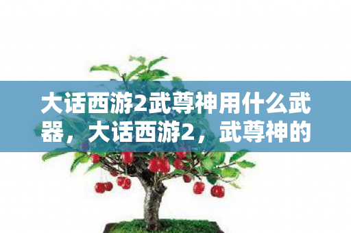 大话西游2武尊神用什么武器,大话西游2,武尊神的前世今生 大话西游2武尊神用什么武器,大话西游2,武尊神的前世今生