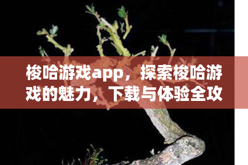 梭哈游戏app,探索梭哈游戏的魅力,下载与体验全攻略 梭哈游戏app,探索梭哈游戏的魅力,下载与体验全攻略