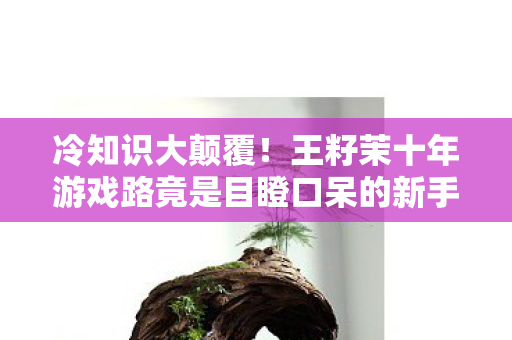 冷知识大颠覆！王籽茉十年游戏路竟是目瞪口呆的新手村囚徒