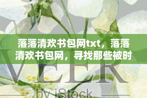 落落清欢书包网txt，落落清欢书包网，寻找那些被时光遗忘的故事