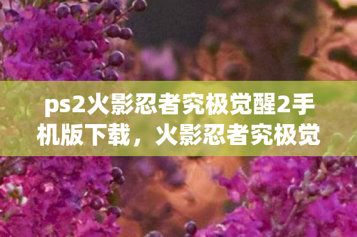 ps2火影忍者究极觉醒2手机版下载，火影忍者究极觉醒2PS2版下载攻略及游戏特色解析