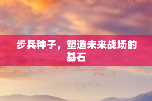步兵种子,塑造未来战场的基石 步兵种子,塑造未来战场的基石