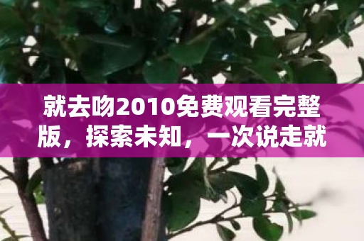 就去吻2010免费观看完整版，探索未知，一次说走就走的旅行