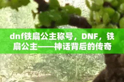 dnf铁扇公主称号,DNF,铁扇公主——神话背后的传奇 dnf铁扇公主称号,DNF,铁扇公主——神话背后的传奇