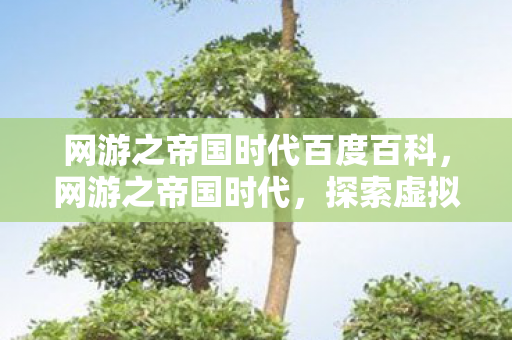 网游之帝国时代百度百科，网游之帝国时代，探索虚拟世界的无限可能