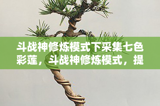 斗战神修炼模式下采集七色彩莲,斗战神修炼模式,提升战斗力的关键步骤 斗战神修炼模式下采集七色彩莲,斗战神修炼模式,提升战斗力的关键步骤