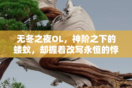 无冬之夜OL，神阶之下的蝼蚁，却握着改写永恒的悖论权杖