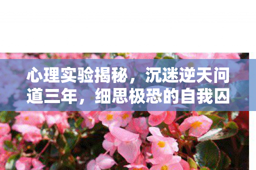 心理实验揭秘,沉迷逆天问道三年,细思极恐的自我囚禁 心理实验揭秘,沉迷逆天问道三年,细思极恐的自我囚禁