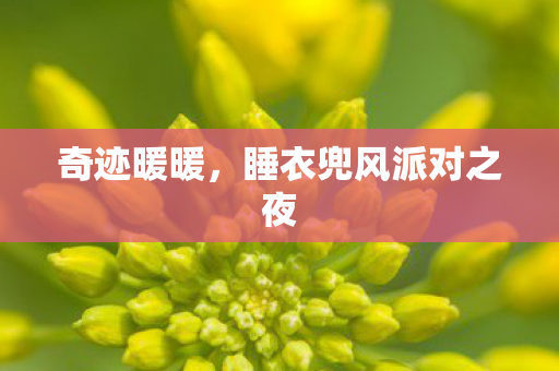 奇迹暖暖，睡衣兜风派对之夜