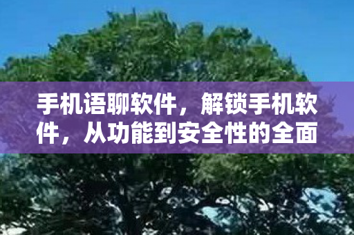 手机语聊软件，解锁手机软件，从功能到安全性的全面解析