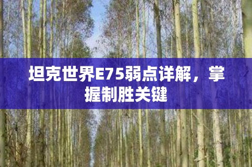 坦克世界E75弱点详解，掌握制胜关键