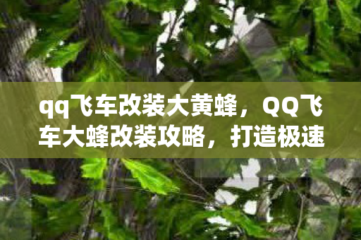 qq飞车改装大黄蜂，QQ飞车大蜂改装攻略，打造极速赛道王者